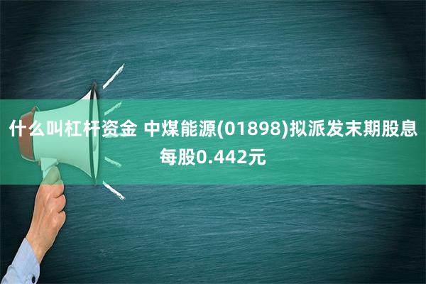 什么叫杠杆资金 中煤能源(01898)拟派发末期股息每股0.442元