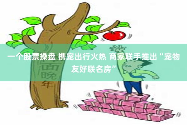 一个股票操盘 携宠出行火热 商家联手推出“宠物友好联名房”