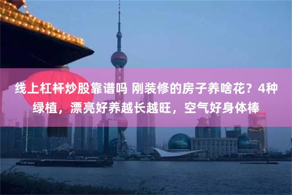 线上杠杆炒股靠谱吗 刚装修的房子养啥花？4种绿植，漂亮好养越长越旺，空气好身体棒