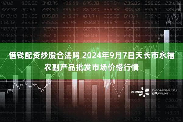 借钱配资炒股合法吗 2024年9月7日天长市永福农副产品批发市场价格行情