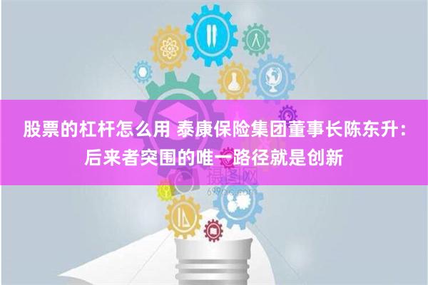 股票的杠杆怎么用 泰康保险集团董事长陈东升：后来者突围的唯一路径就是创新