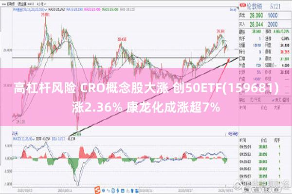 高杠杆风险 CRO概念股大涨 创50ETF(159681)涨2.36% 康龙化成涨超7%