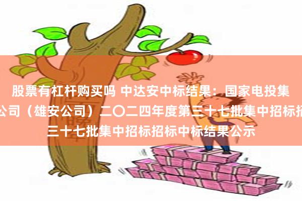 股票有杠杆购买吗 中达安中标结果：国家电投集团河北电力有限公司（雄安公司）二〇二四年度第三十七批集中招标招标中标结果公示